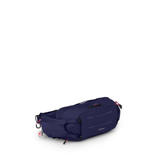 Raven 4 - US 3433