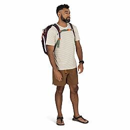 Transporter™ Travel Pack 36 - US 2771